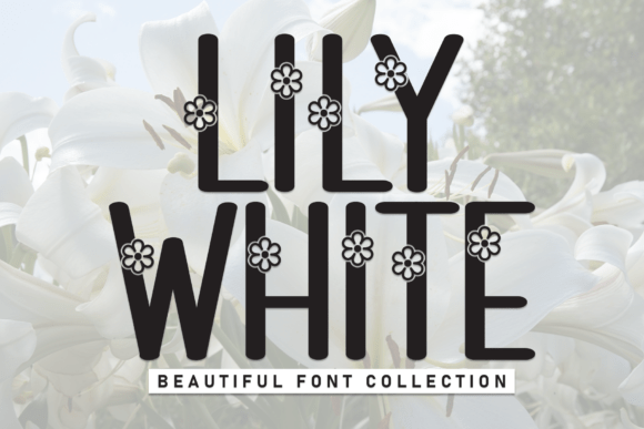 Lily White Font for Business Branding